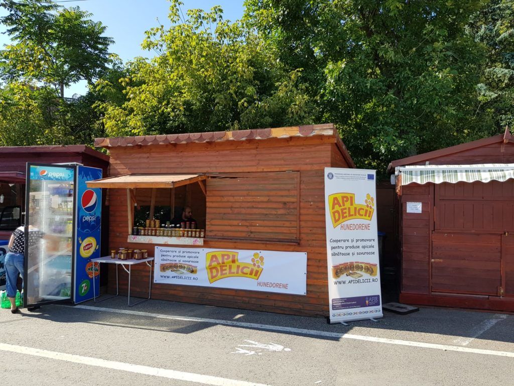 Prezentare şi promovare în Deva